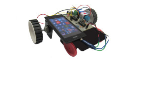 mob controlled robot