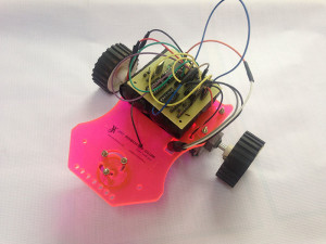kidz-botix-1